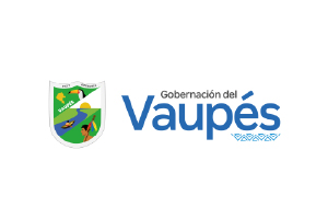 Gobernación del Vaupez
