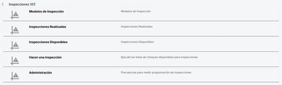 INSPECCIONES SST 1